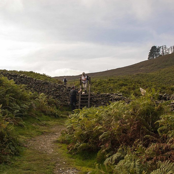 Countryside walking and cycling trail at Annfield Plain and Kip Hill near Ryton, ideal for hiking routes before relaxing at The Runhead pub