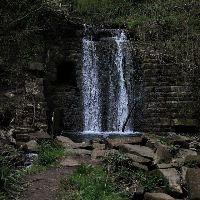 Walking and hiking in Blaydon Burn Nature Reserve near Ryton, with woodland trails close to The Runhead pub for nature lovers.