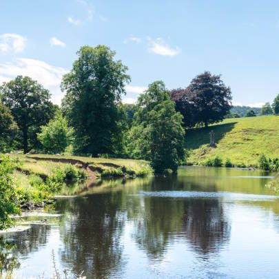 Gentle riverside walk along the River Derwent Circular near Ryton, perfect for family hiking before visiting The Runhead pub